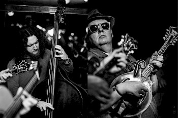 BLUEGRASS