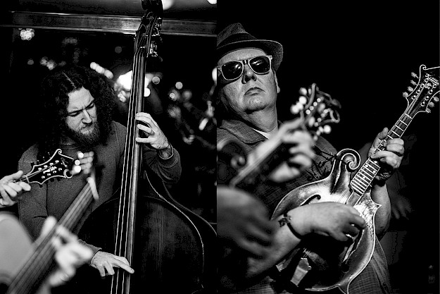 BLUEGRASS