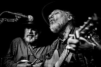BLUEGRASS