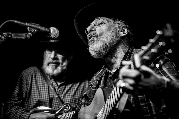 BLUEGRASS