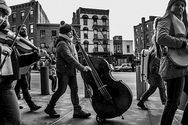 BLUEGRASS